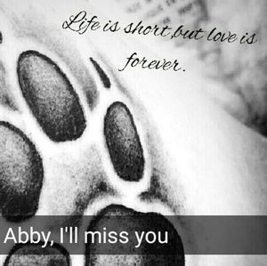 Meet your Posher, Morgan