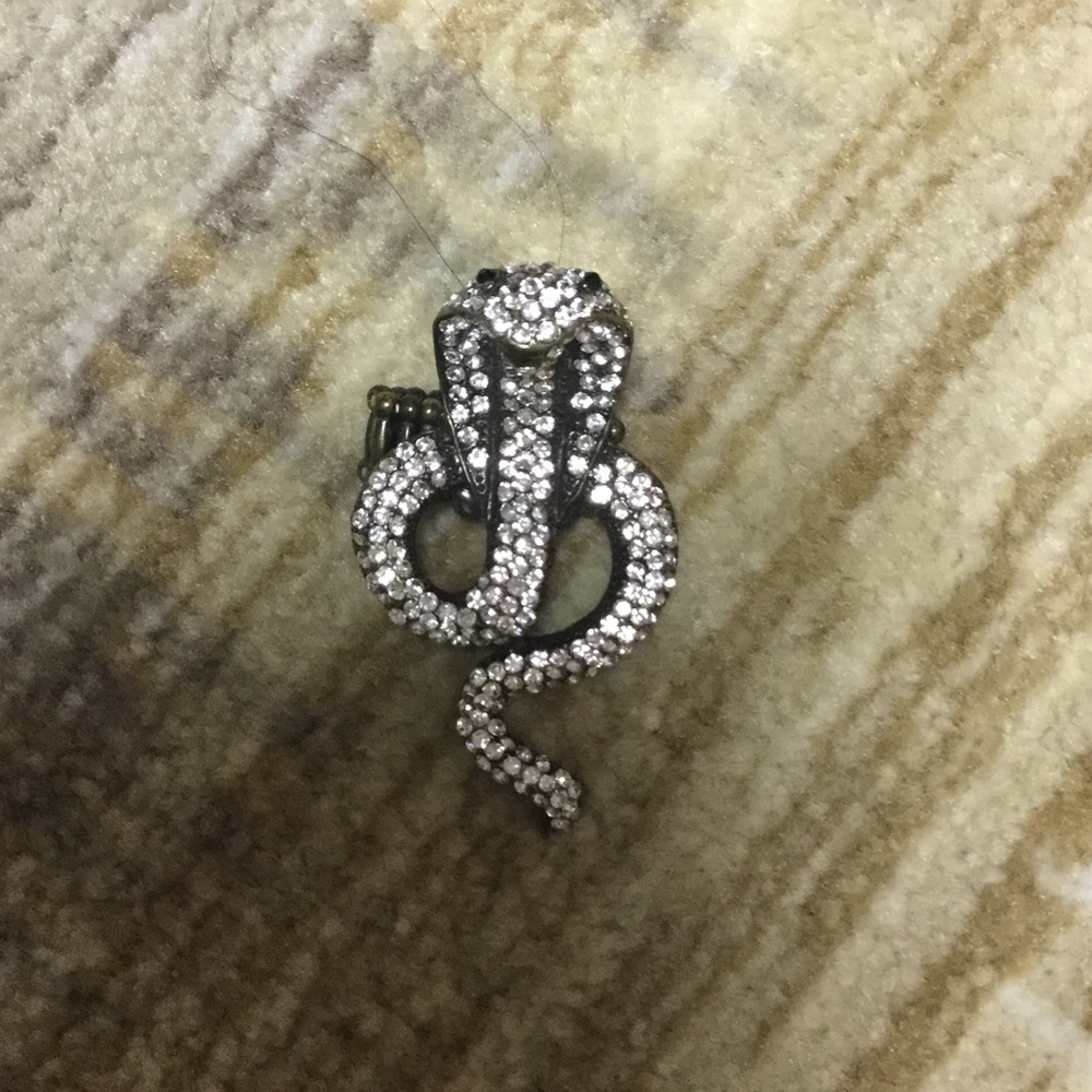 BIG SNAKE RING