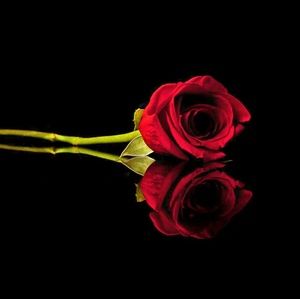 Meet your Posher, Toy