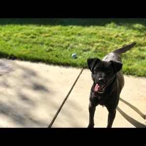 Meet your Posher, Viviana