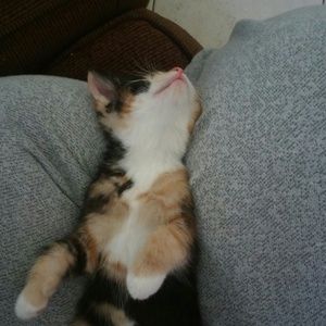 Meet your Posher, Vero