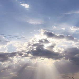 Meet your Posher, Susie