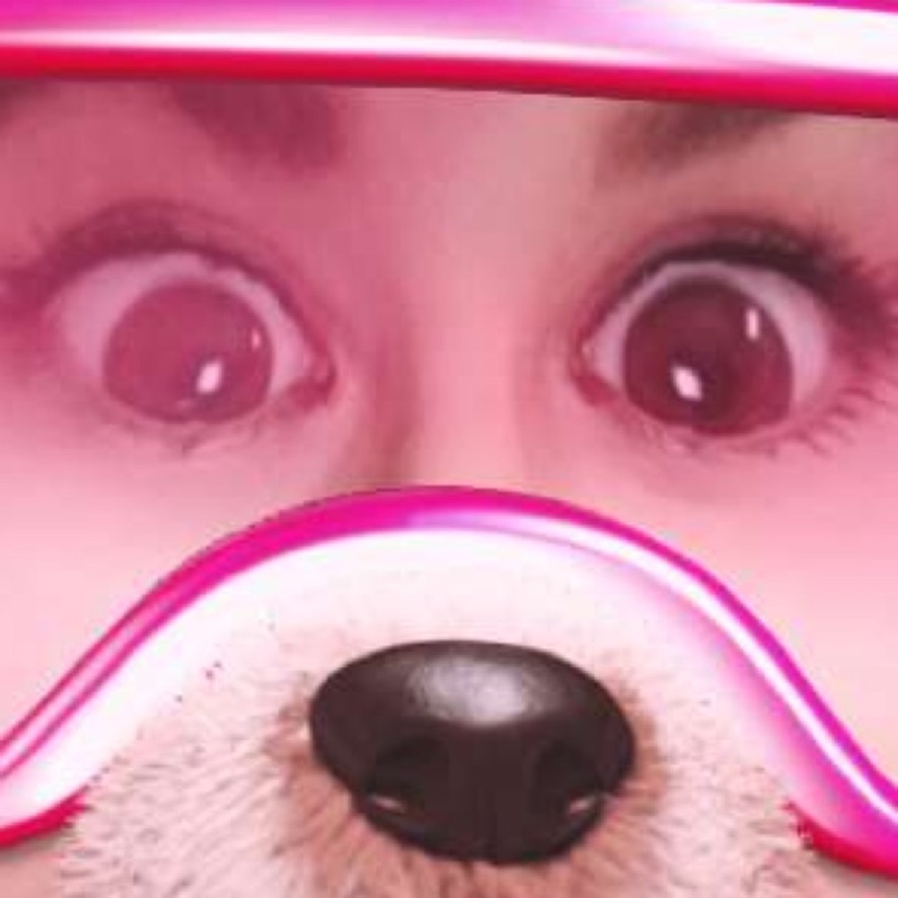 Meet your Posher, Bella