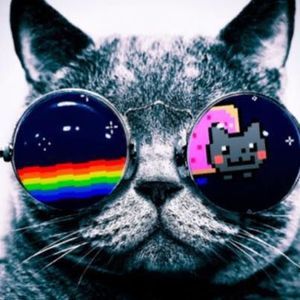 Meet your Posher, Christian