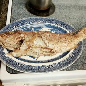 Meet your Posher, Stella