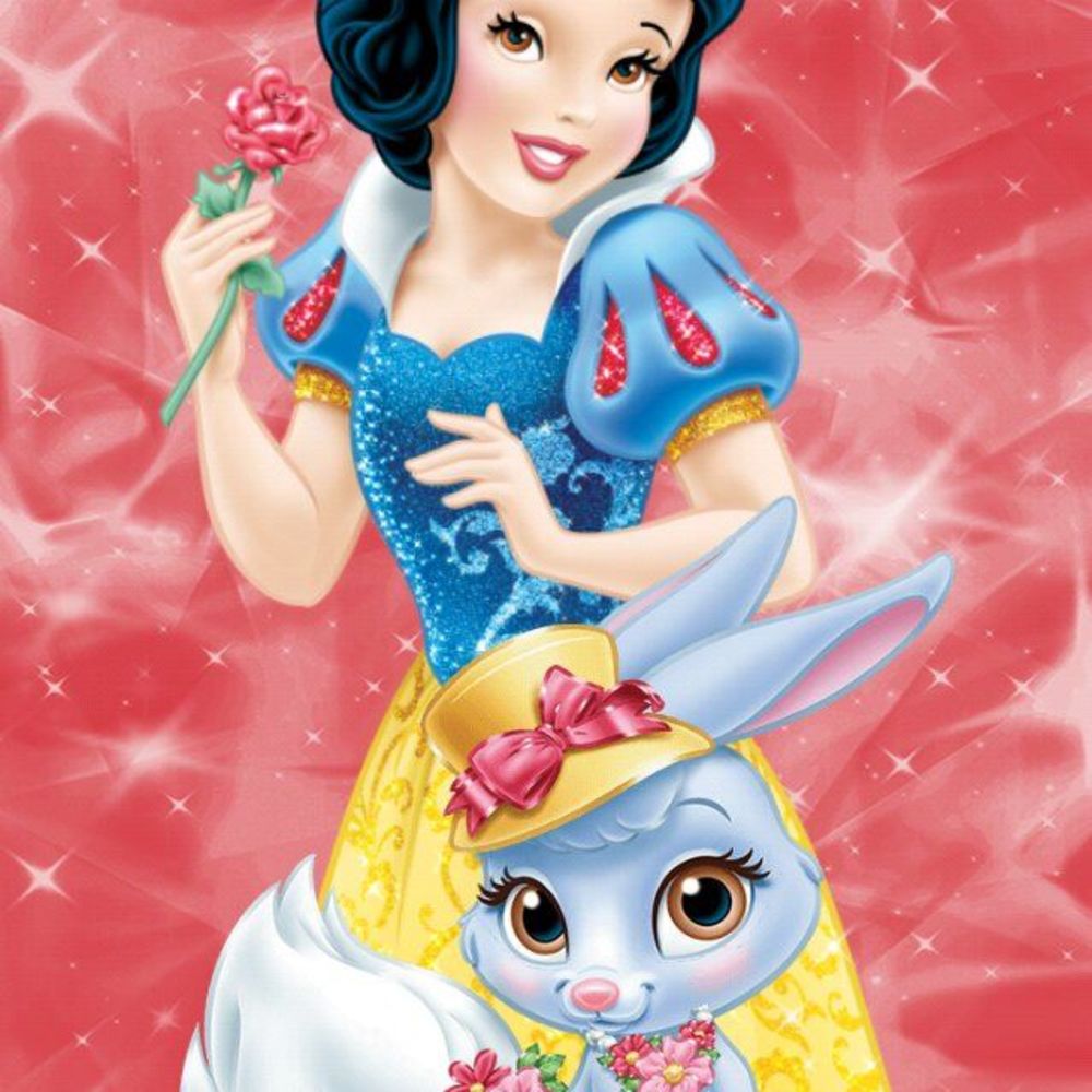 Meet your Posher, Sandra posh ambassador