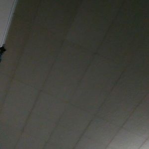 Meet your Posher, Noel