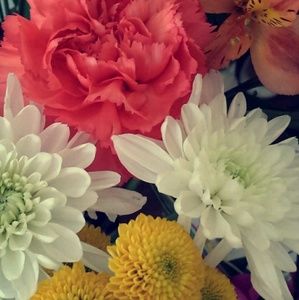 Meet your Posher, Jill