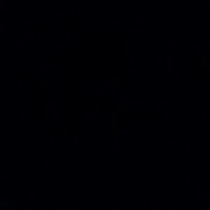 Meet your Posher, King