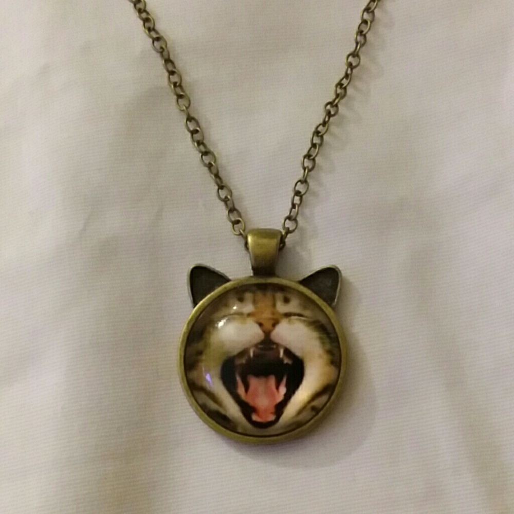 Cat, mouth wide open, glass cabochon necklace - Picture 2 of 5