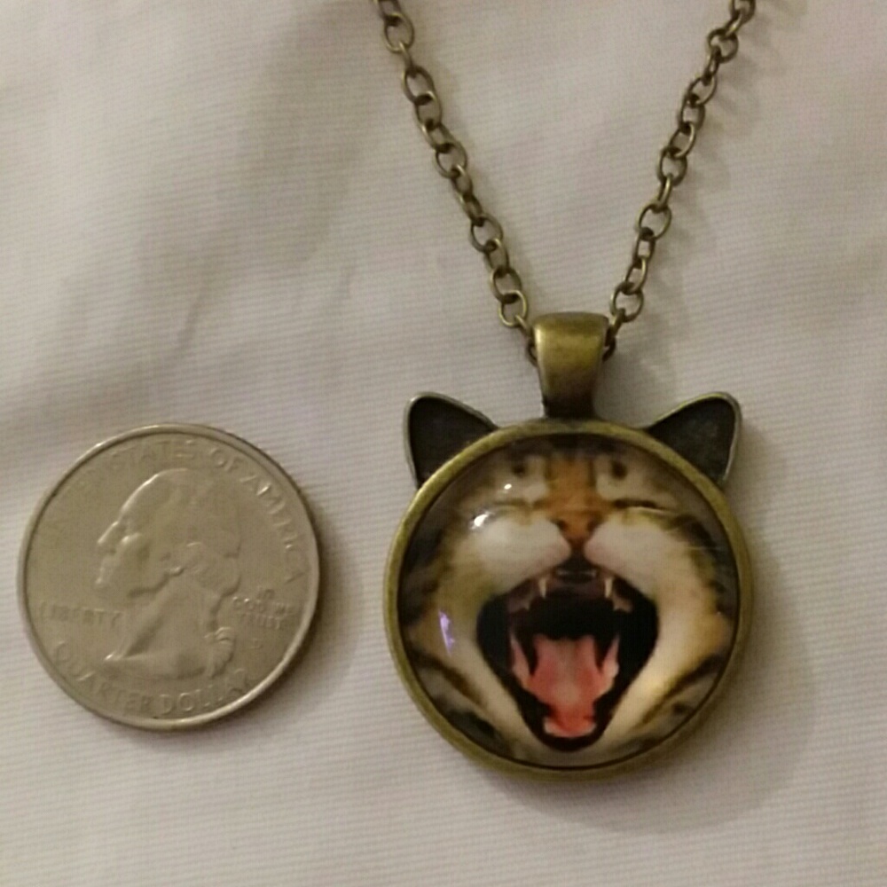 Cat, mouth wide open, glass cabochon necklace - Picture 3 of 5