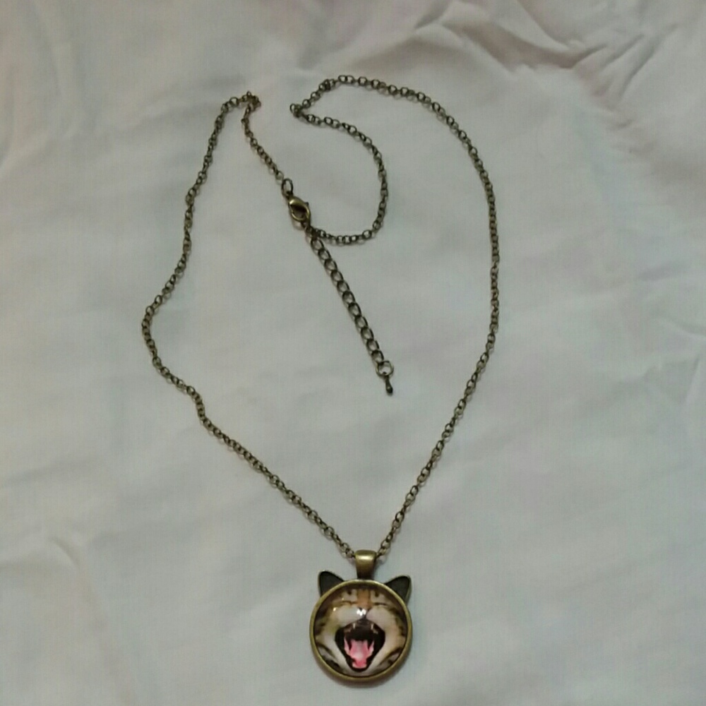 Cat, mouth wide open, glass cabochon necklace - Picture 5 of 5