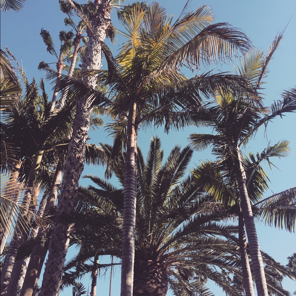 Meet your Posher, Kelsey