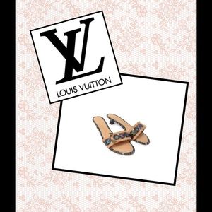 Luis Vuitton Multi-color Murakami Sandals