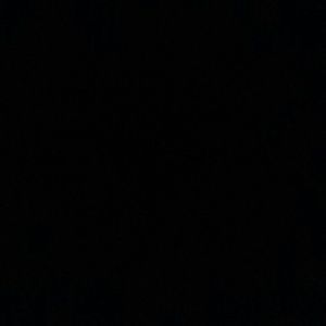 Meet your Posher, Layla