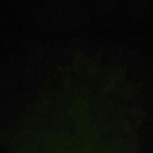 Meet your Posher, Ana