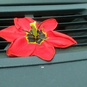 Meet your Posher, Joann