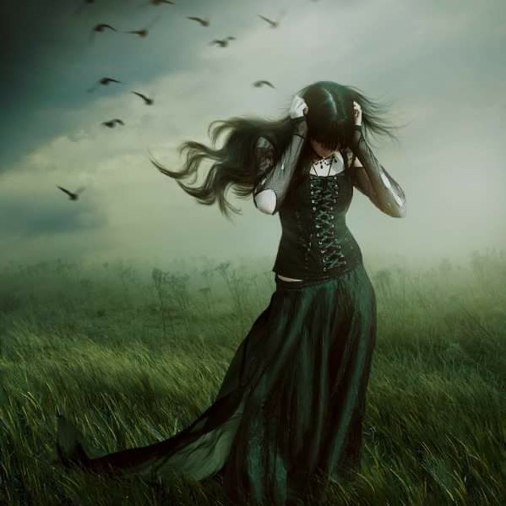 Meet your Posher, Barb