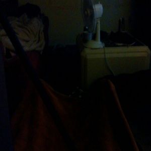 Meet your Posher, Carol