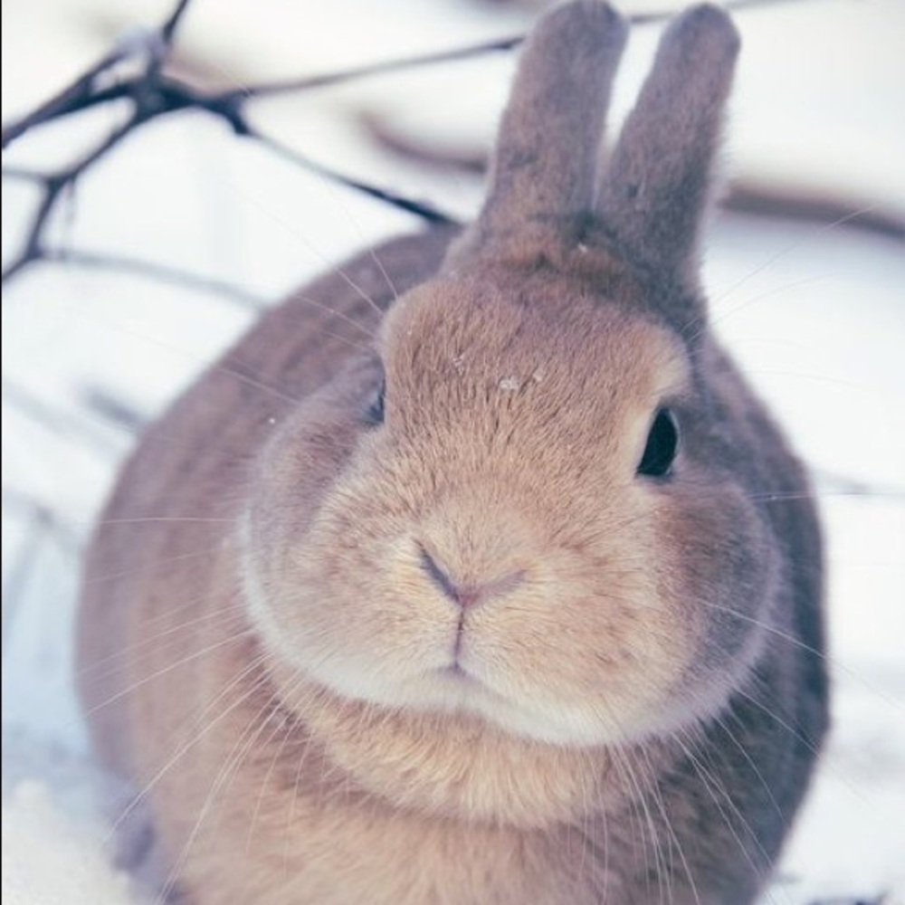 Meet your Posher, Kathi