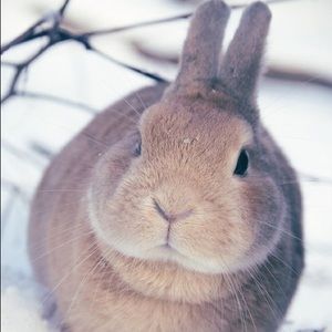 Meet your Posher, Kathi