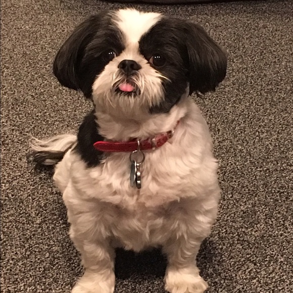 Meet your Posher, Melissa - Picture 1 of 1