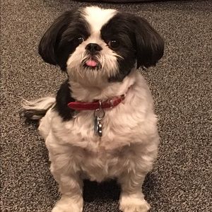 Meet your Posher, Melissa