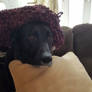 Meet your Posher, Elena