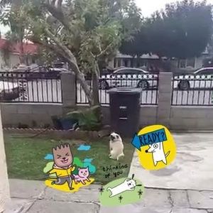 Meet your Posher, Jessi thanh