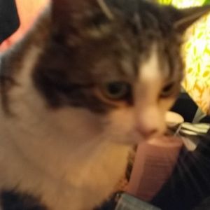 Meet your Posher, Jo