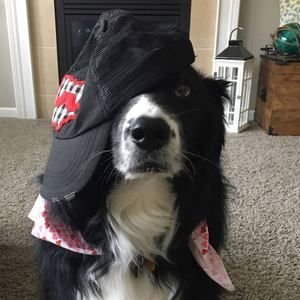 Meet your Posher, Holly