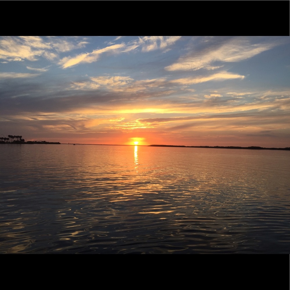 Meet your Posher, Liz