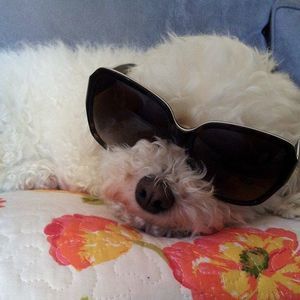 Meet your Posher, Cheryl