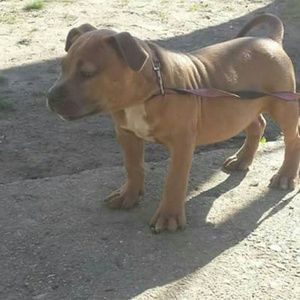 Meet your Posher, Marcus