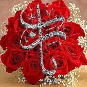 Meet your Posher, Shadia