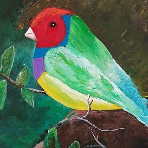 Meet your Posher, Alexis