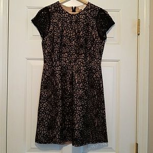 Ann Taylor loft dress