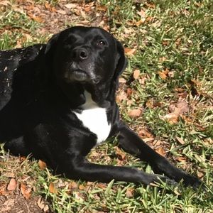 Meet your Posher, Austin