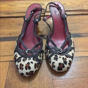 Leopard print calf hair Cole Haan kitten heels