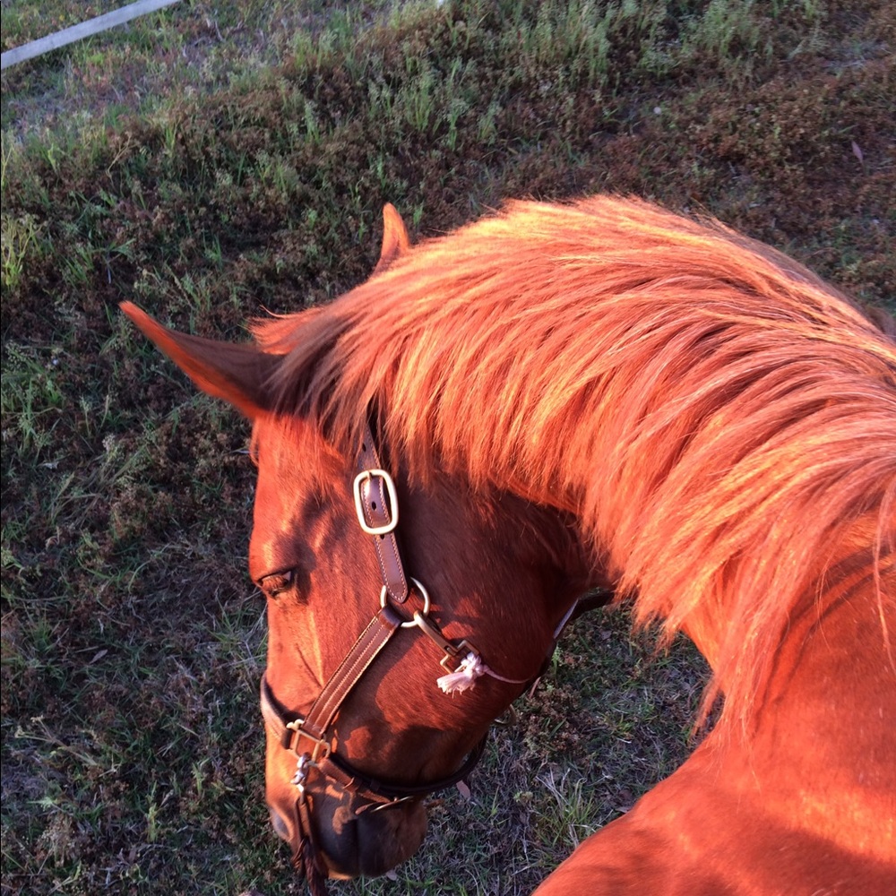 Meet your Posher, Lindsay