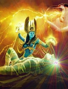 Meet your Posher, Ursula