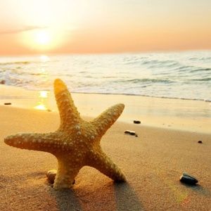 Meet your Posher, Rustina