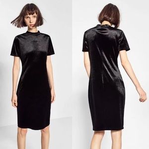 Zara High Neck Velvet Sheath Dress