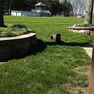 Meet your Posher, Bonnie