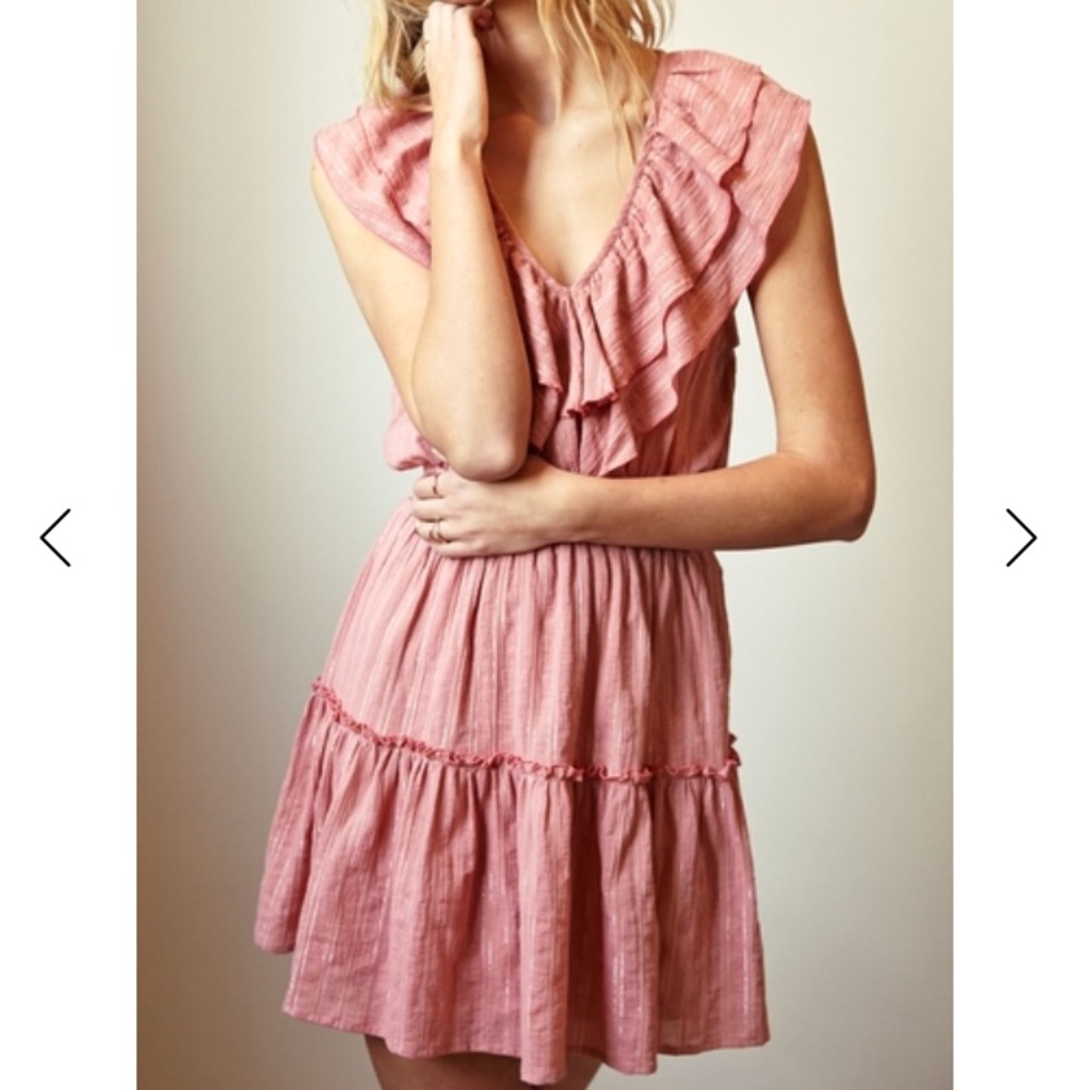 Steele Label Jocelyn Dress in Blush Size Small