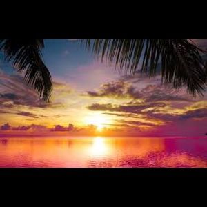 Meet your Posher, Kateri