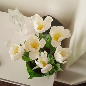 Meet your Posher, Glorimar