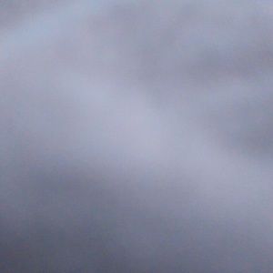 Meet your Posher, Rickey