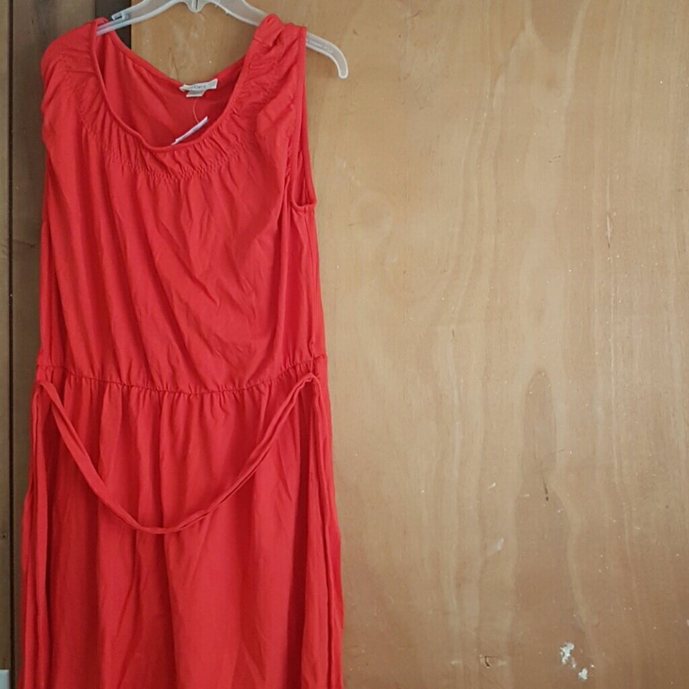 ANN Taylor loft
