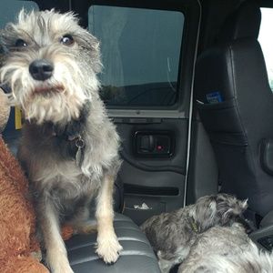 Meet your Posher, Kelli